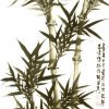 B043 林谋秀---墨竹 136x70cm
