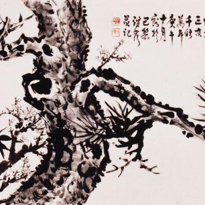 Pines series 苍松系列